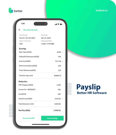 Itemised Payslip